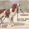 Dog's conditioned reflex.