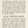 Tomato plants.