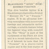 Blackburn 'Skua' dive bomber fighter.
