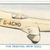 The Percival Mew Gull.