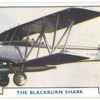 The Blackburn 'Shark.'