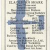 The Blackburn 'Shark.'