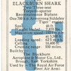 The Blackburn 'Shark.'