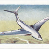 Handley Page Victor.
