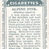 Alpine pink.