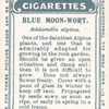 Blue Moon-Wort.