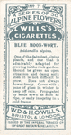 Blue Moon-Wort.