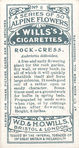 Rock-cress.