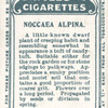 Noccaea Alpina.