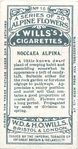 Noccaea Alpina.