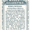 Edelweiss.