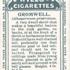Gromwell.