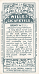 Gromwell.