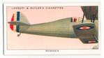 Rumania. Royal Air Force.