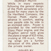 Hornet Moth.