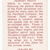 Hornet Moth.