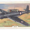 Skua.