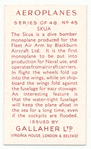 Skua.