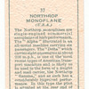 Northrop Monoplane (U. S. A.)