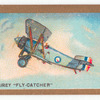 The Fairey 'Flycatcher'.