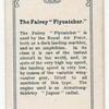The Fairey 'Flycatcher'.