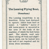 The Loening Flying Boat. (American).