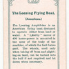 The Loening Flying Boat. (American).