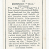 Dornier 'Wal' (Germany).