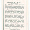 Dornier 'Wal' (Germany).