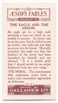 The eagle and the arrow.