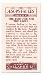 The tortoise and the eagle.