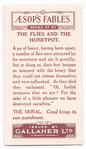 The flies and the honeypot.