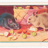 The town mouse and the country mouse.