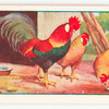 The cock and the jewel.