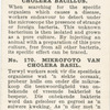 Micro-photo of cholera bacillus.
