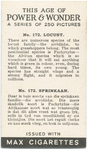 Locust.