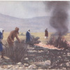 Flame throwers attacking locusts.