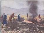 Flame throwers attacking locusts.