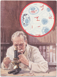 Micro-photo of streptococci.