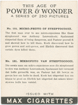 Micro-photo of streptococci.
