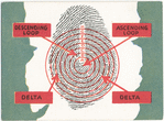 Analysis of finger print.