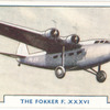 The Fokker F. XXXVI.