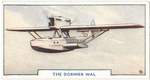 The Dornier Wal.