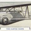 The Curtis Hawk.