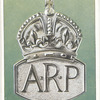 Air raid precautions badge.