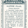 Alpine flax.