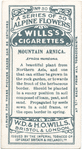 Mountain arnica.