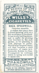 Rock speedwell.