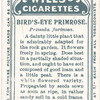 Bird's-eye primrose.