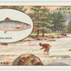 Salmon fishing on the Dee.